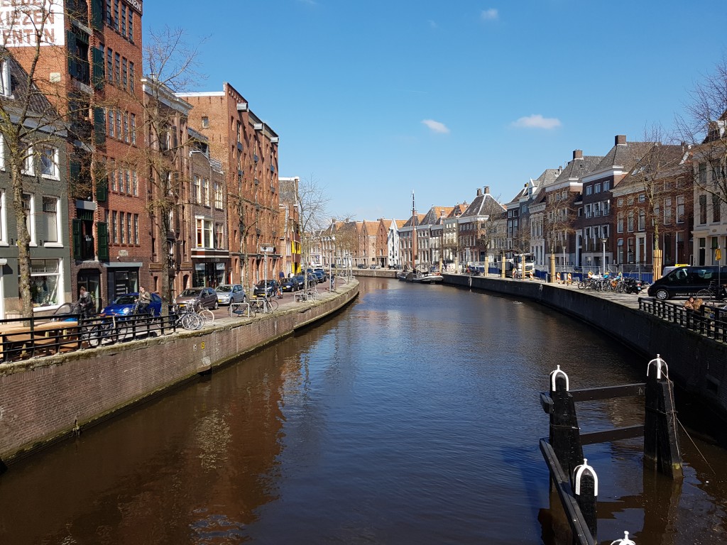 20190409_124631.jpg