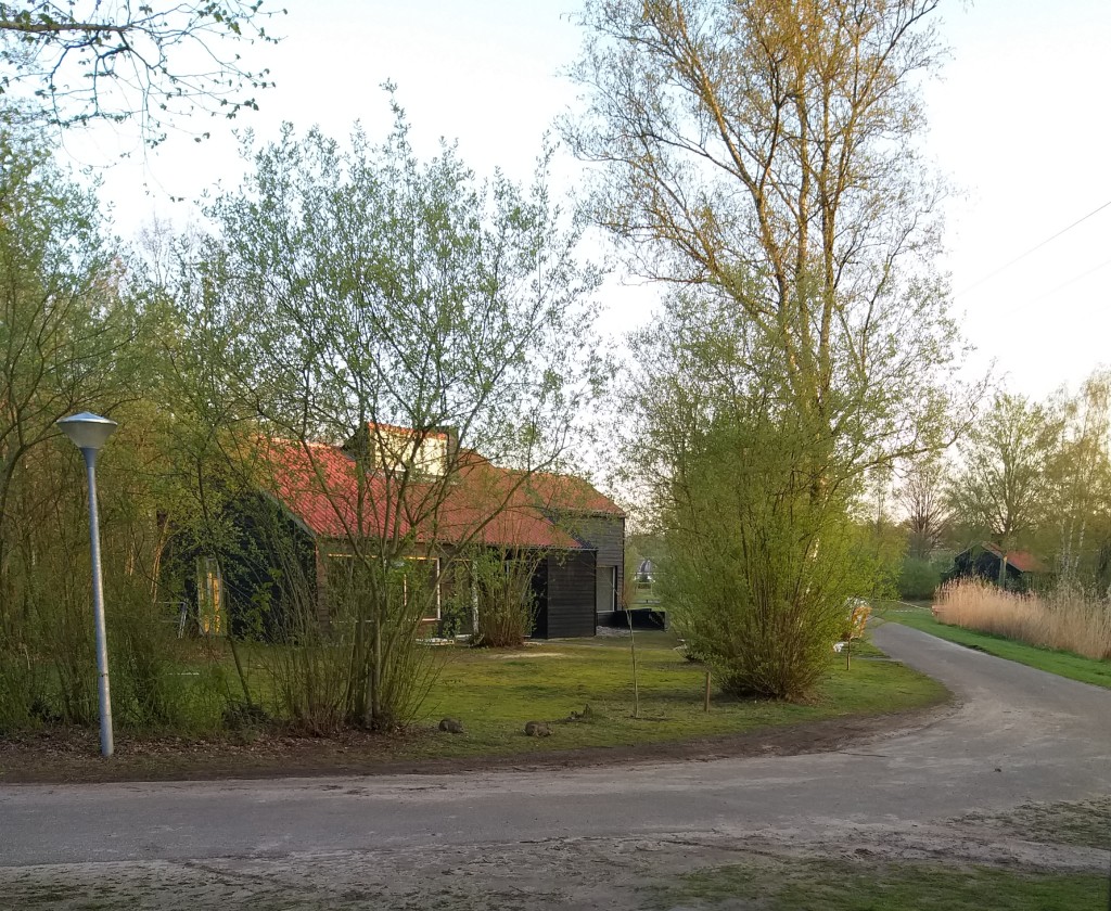 20190411_072431.jpg