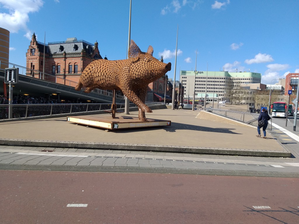 20190411_110241.jpg