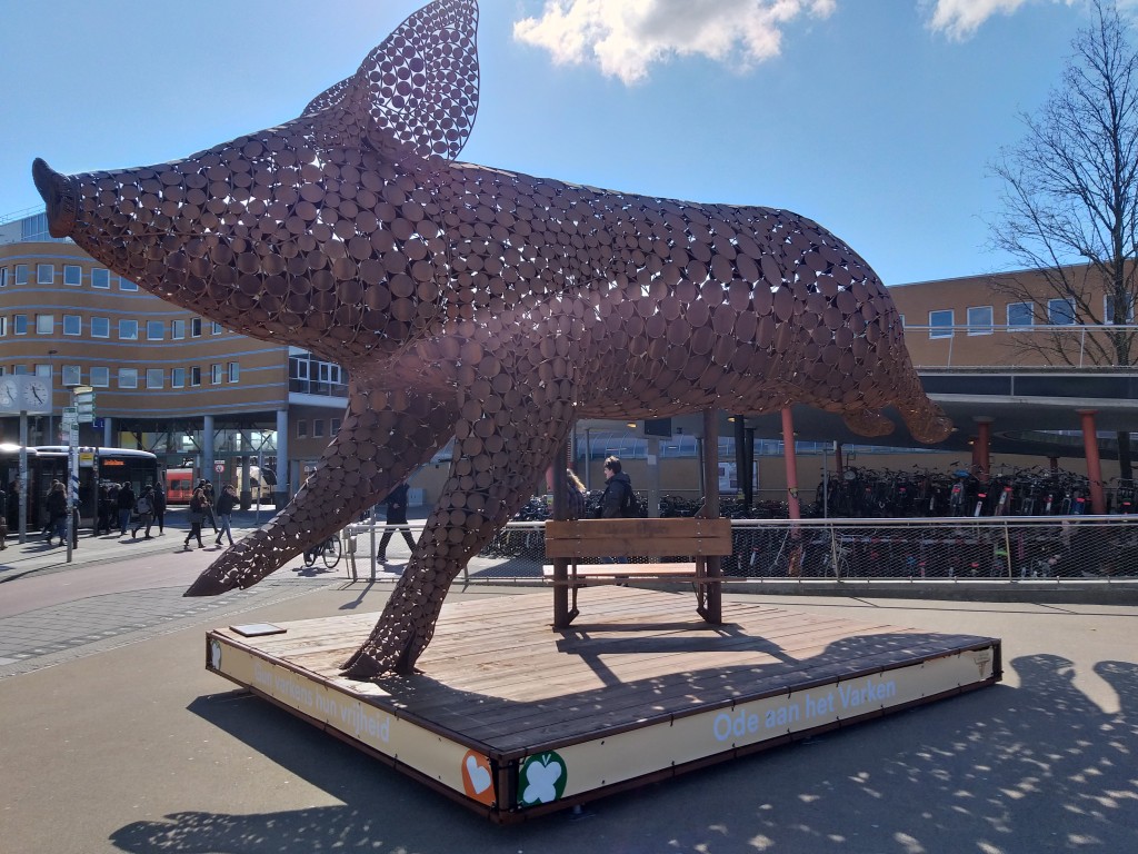 20190411_112307.jpg