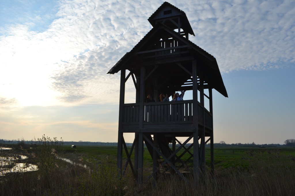 DSC_0025.jpg
