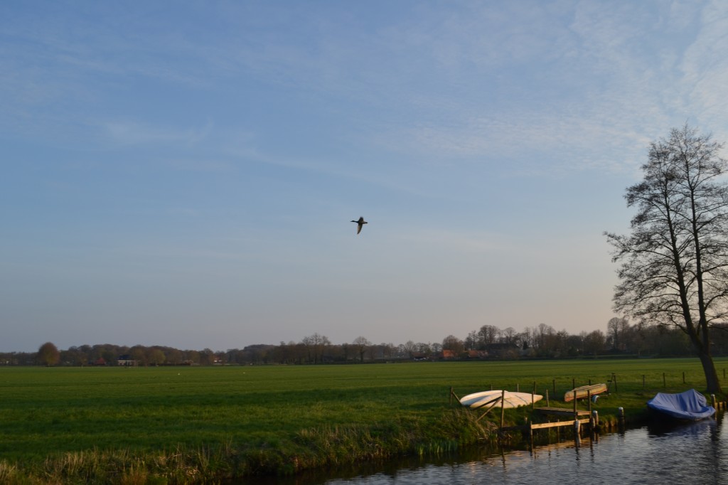 DSC_0081.jpg