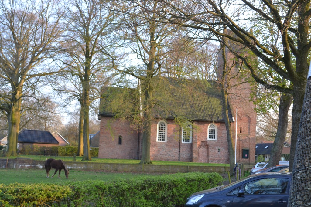DSC_0087.jpg