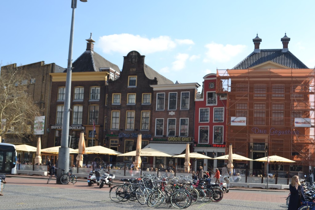 DSC_0114.jpg