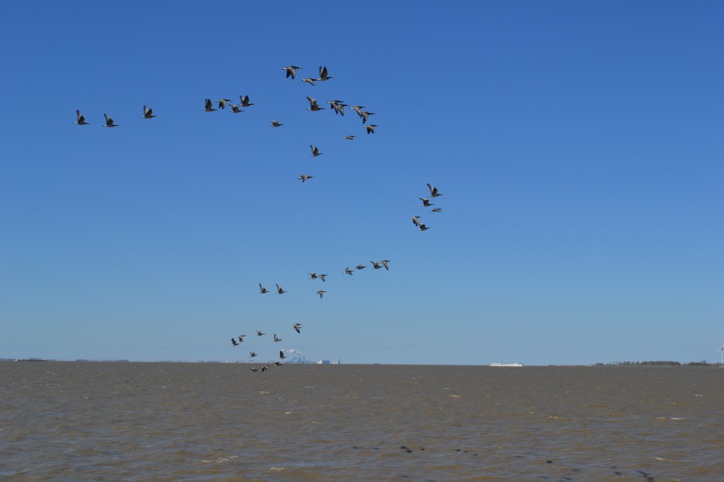 DSC_0331.jpg