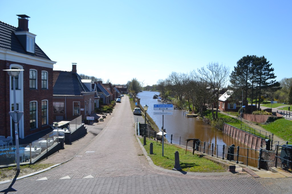 DSC_0365.jpg