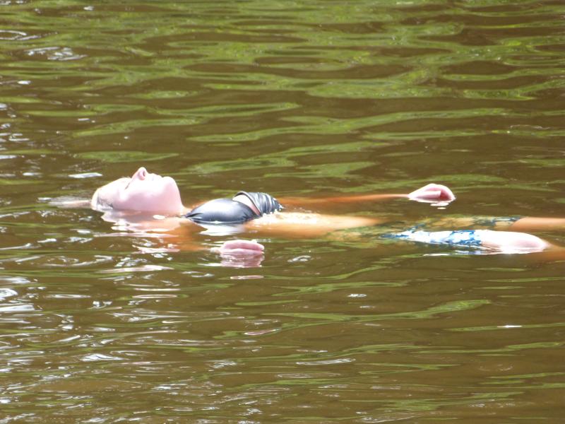 P1000599.jpg