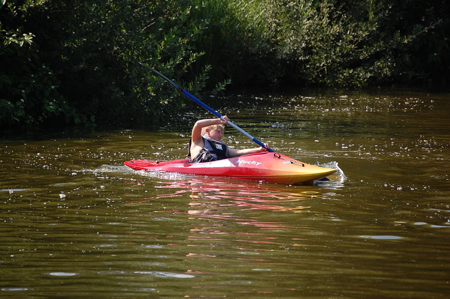 DSC_0051.JPG