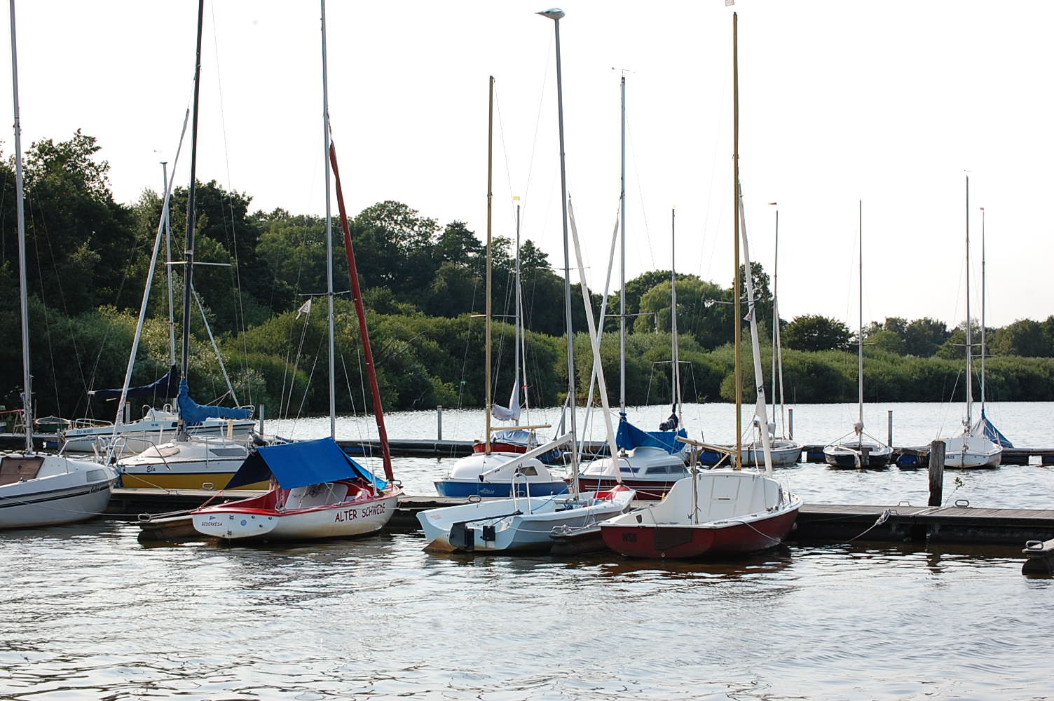 DSC_0141.JPG