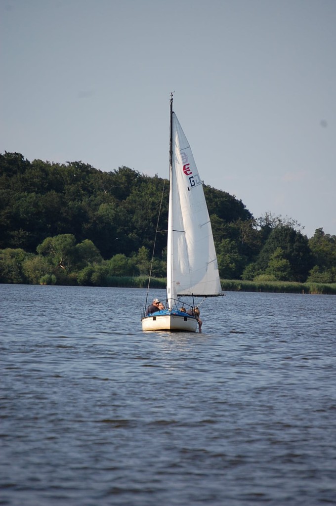DSC_0156.jpg