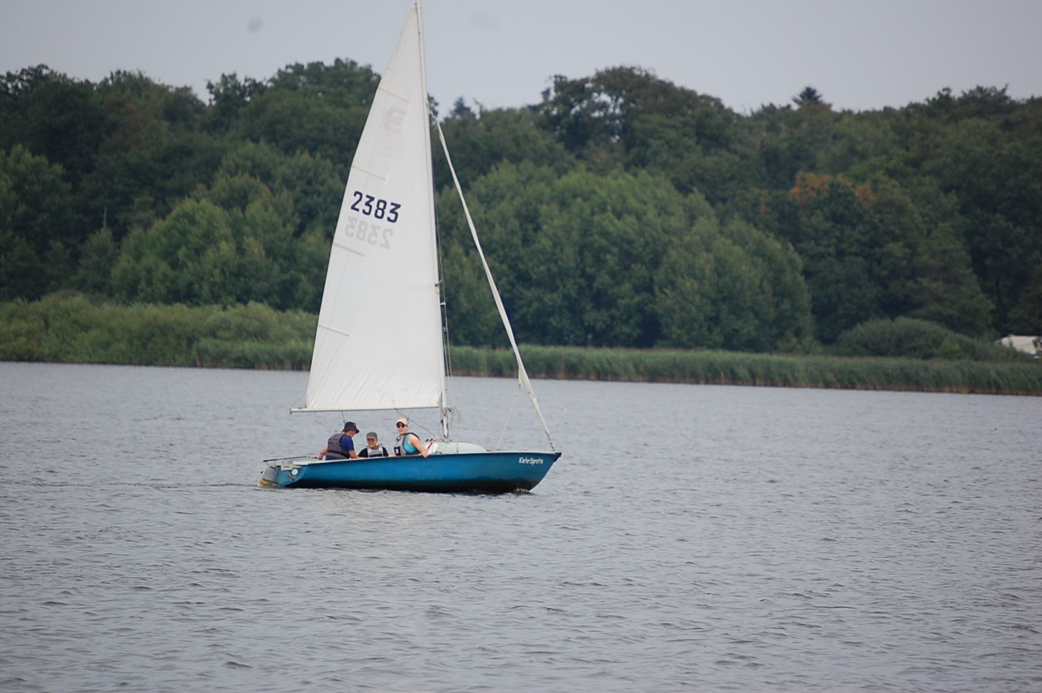 DSC_0709.JPG