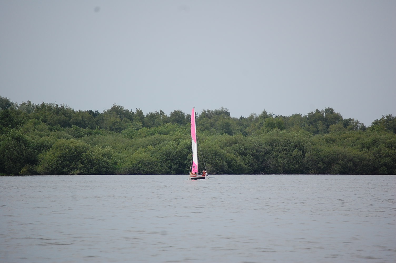 DSC_0724.JPG
