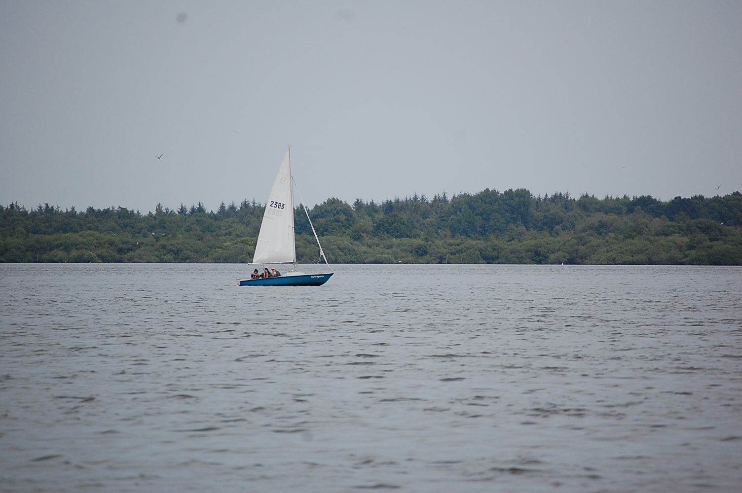 DSC_0726.JPG
