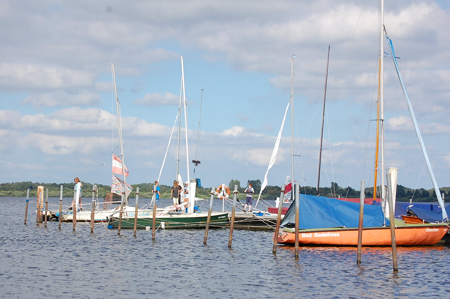 DSC_0806.JPG