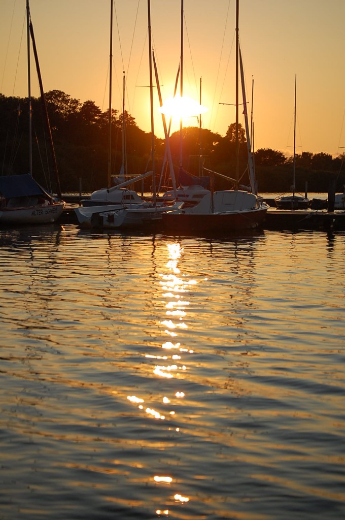 DSC_0980.jpg
