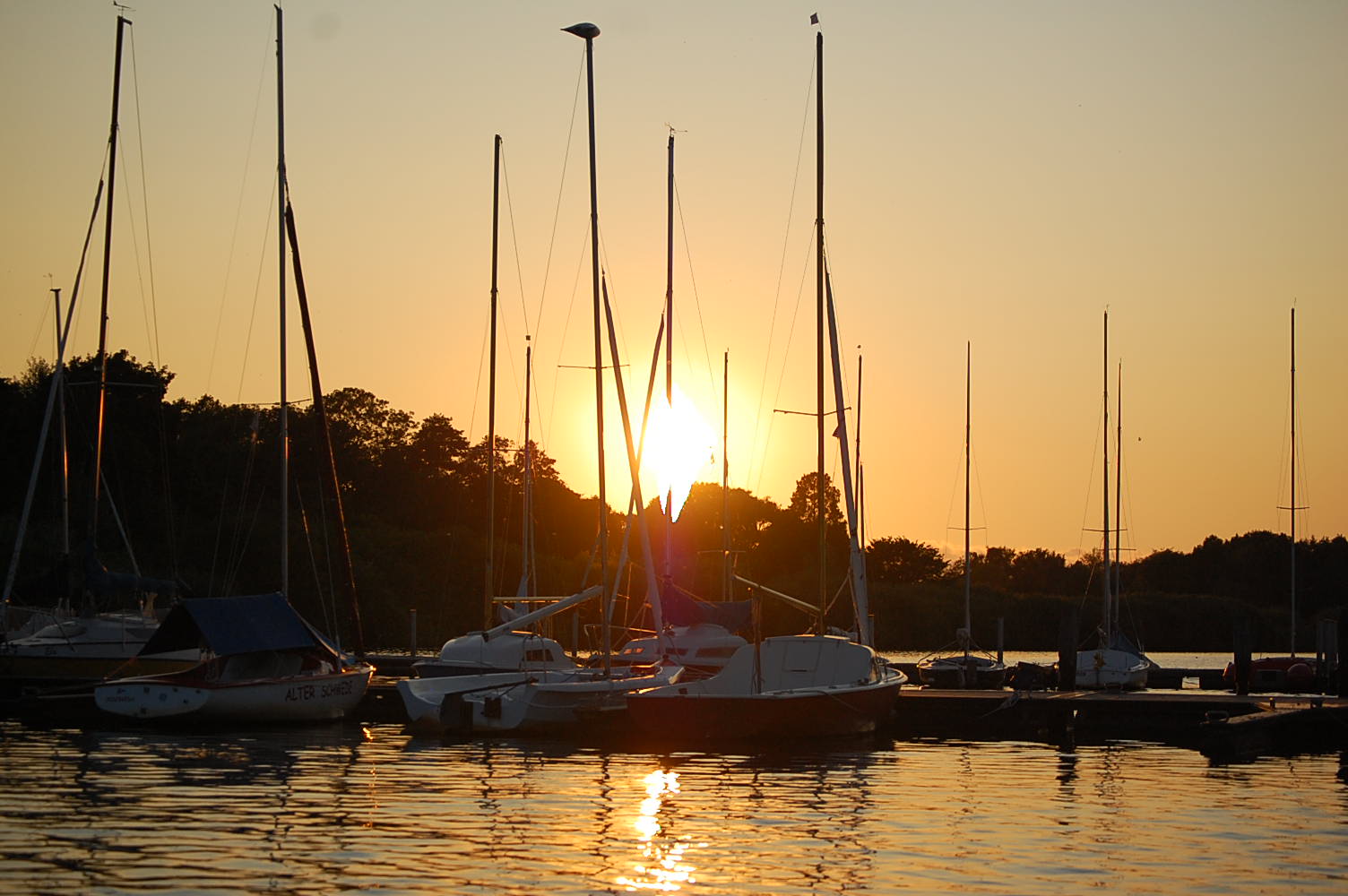 DSC_0981.JPG