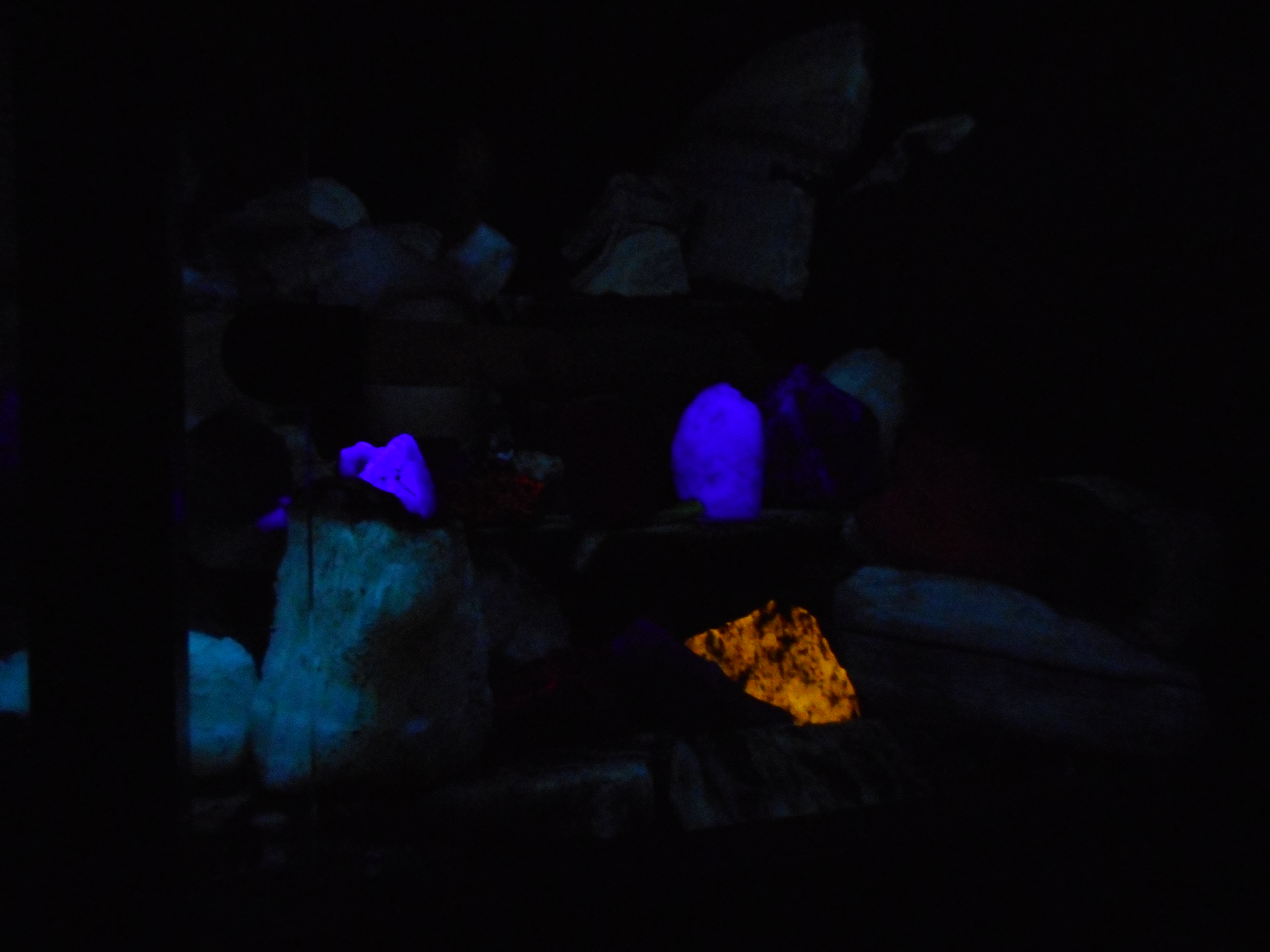 DSCN0050.JPG