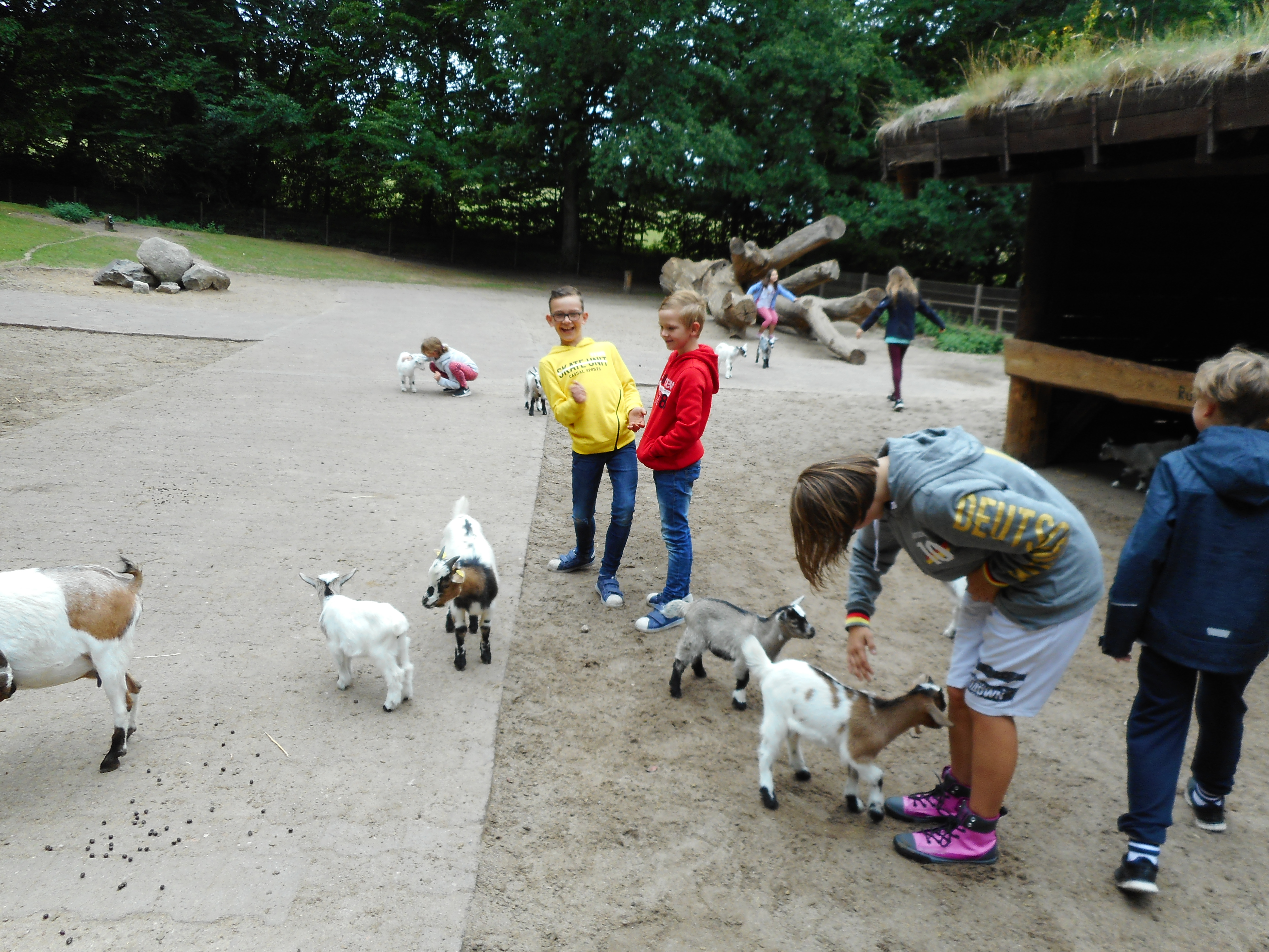 DSCN0201.JPG
