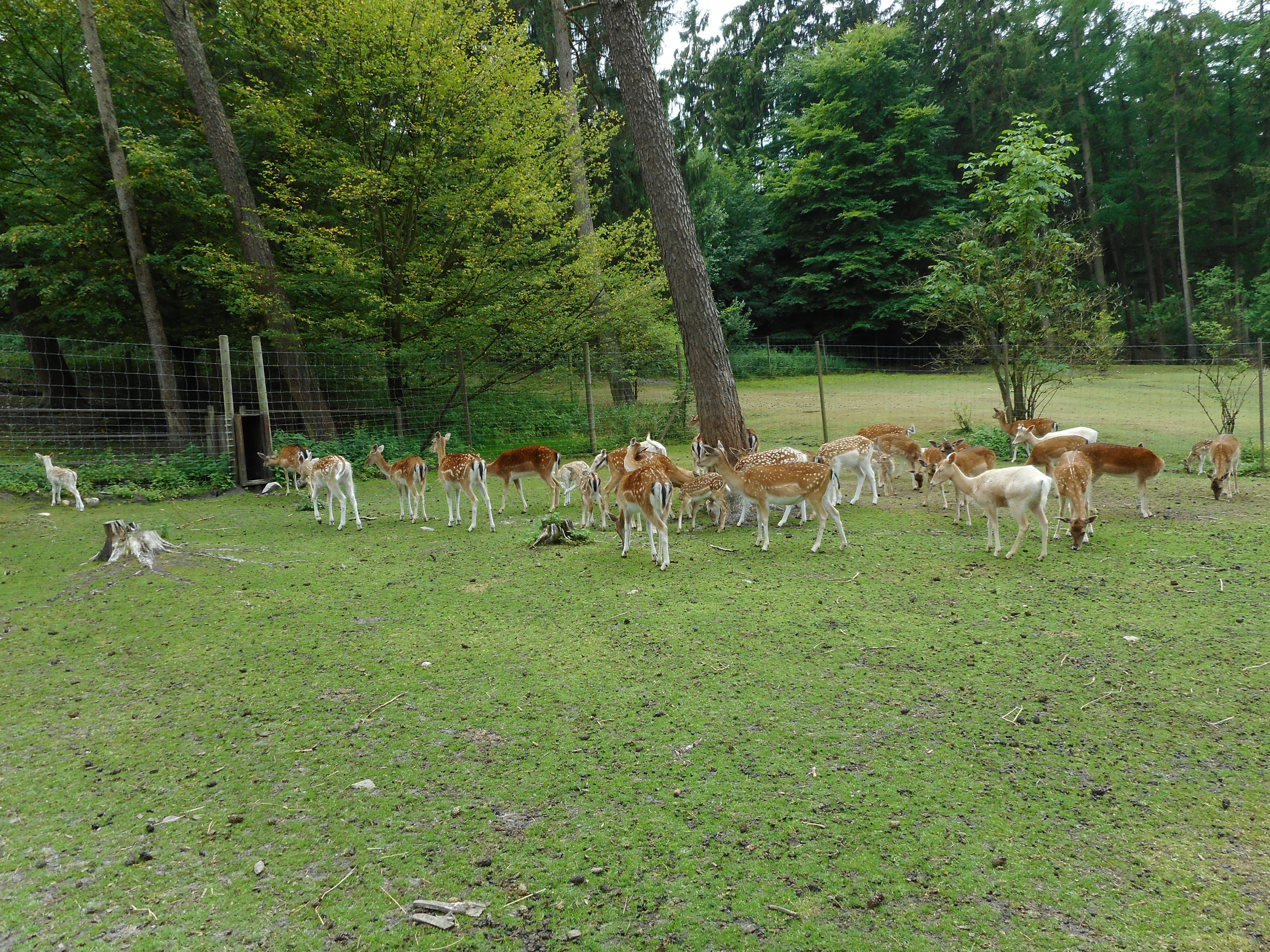 DSCN0255.JPG
