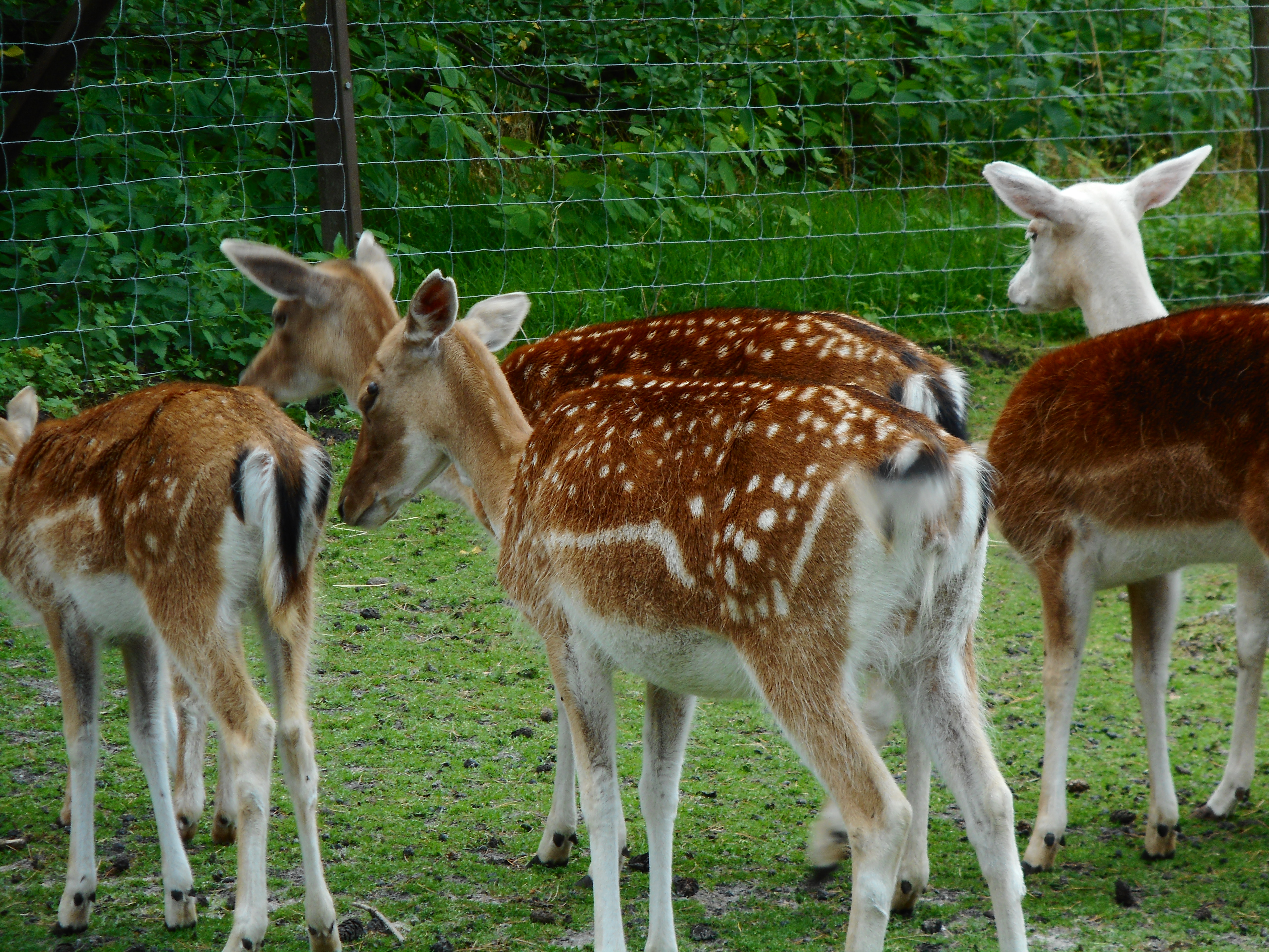 DSCN0256.JPG
