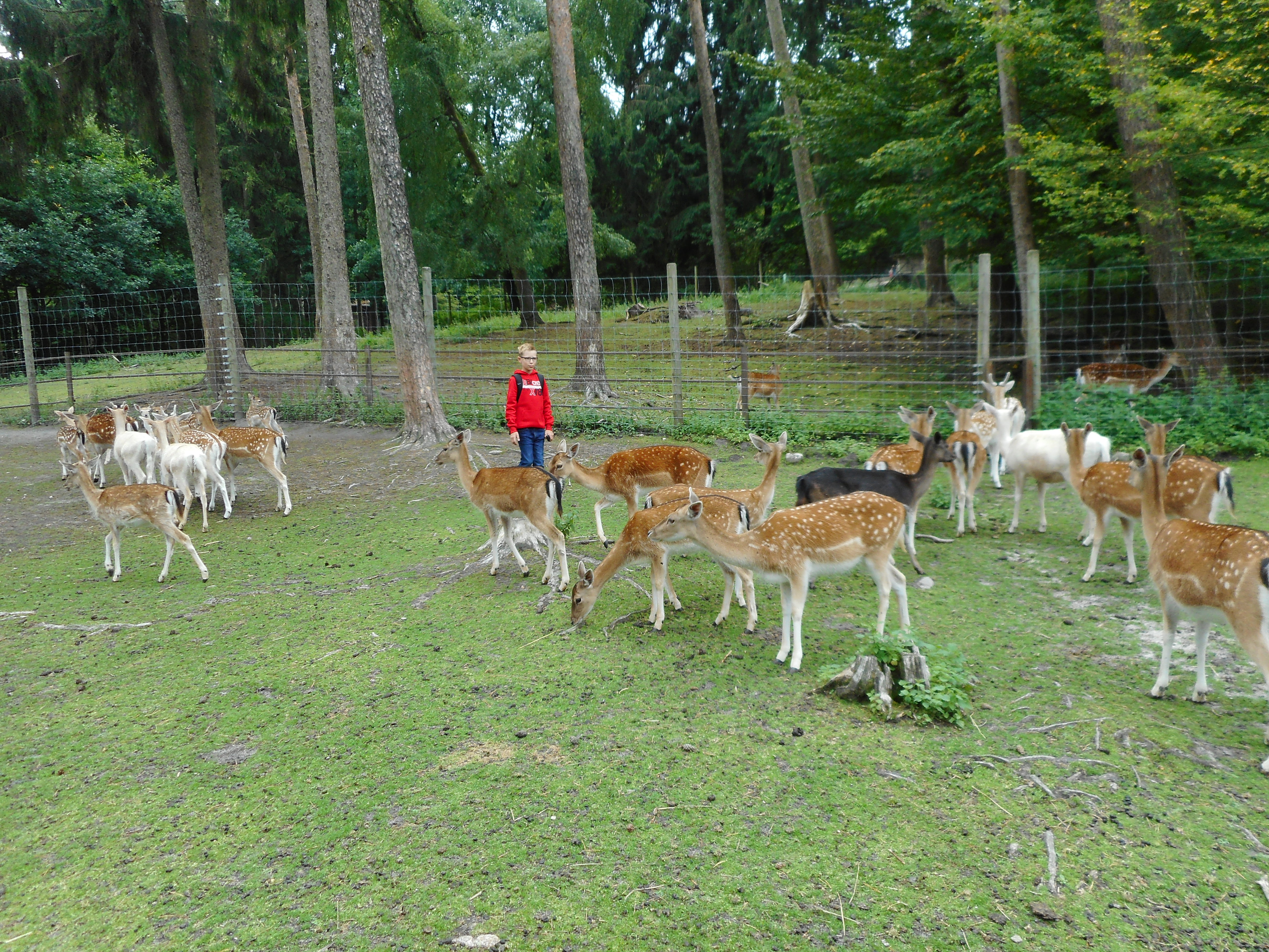 DSCN0268.JPG