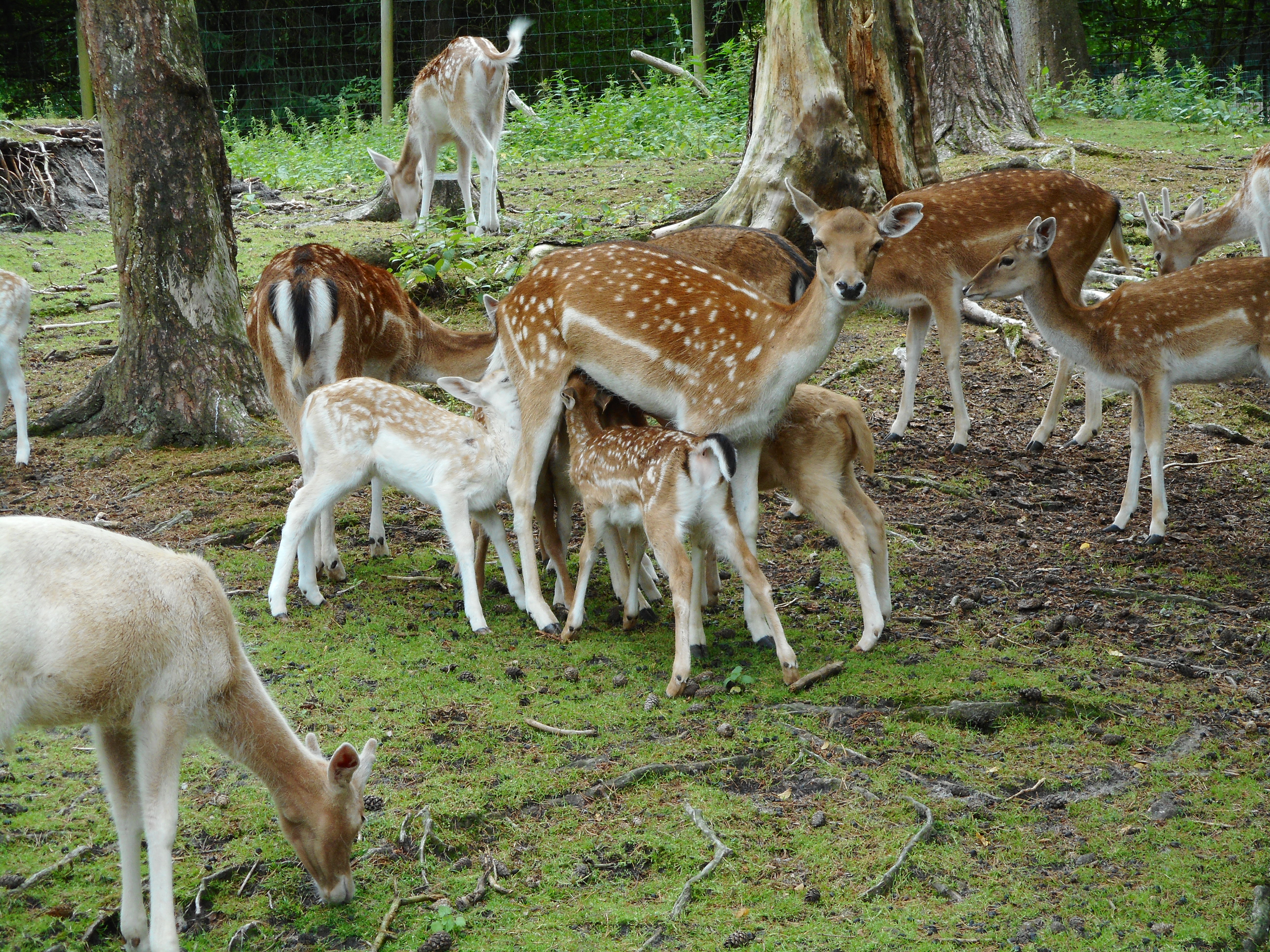 DSCN0287.JPG