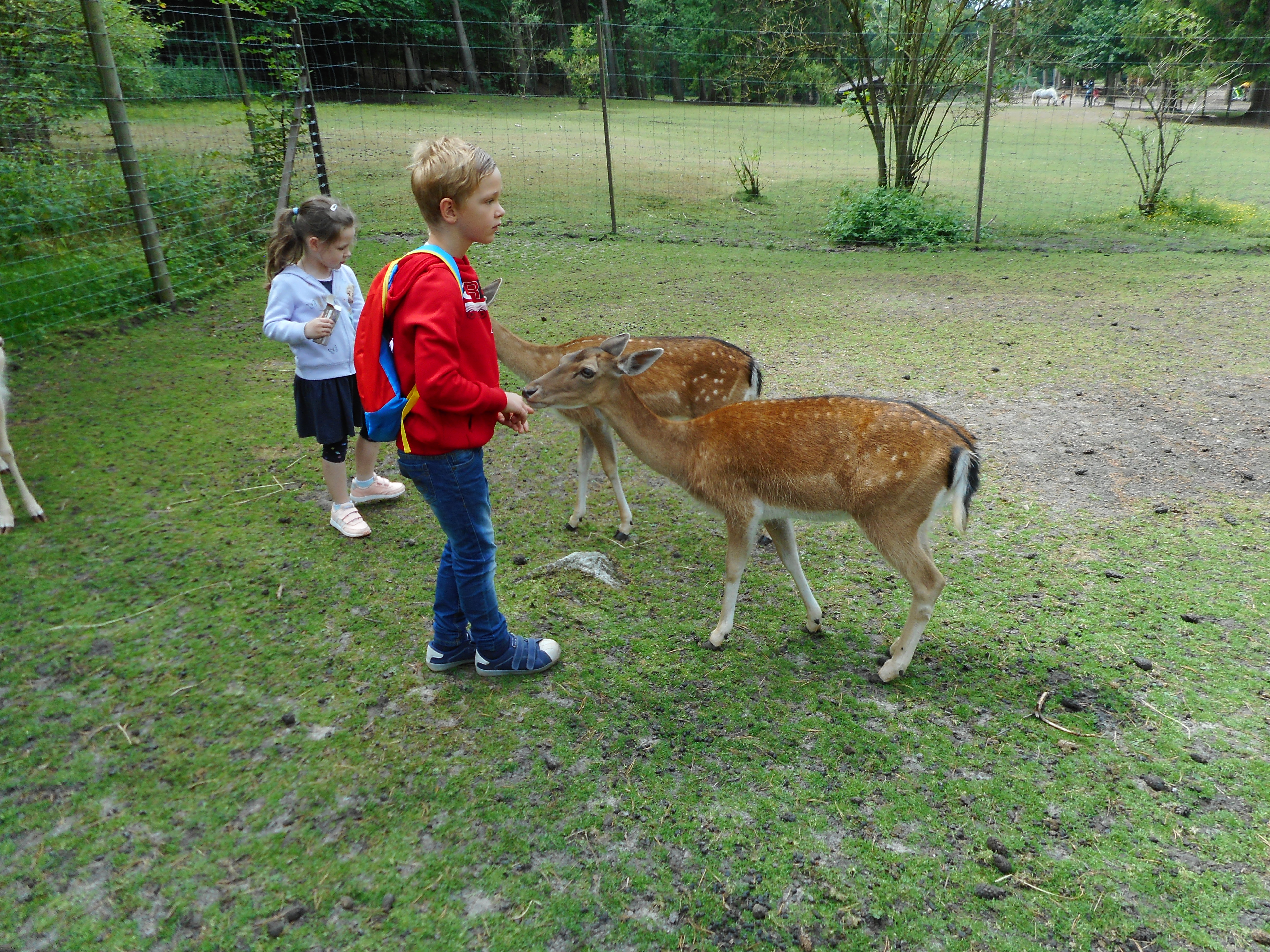 DSCN0288.JPG
