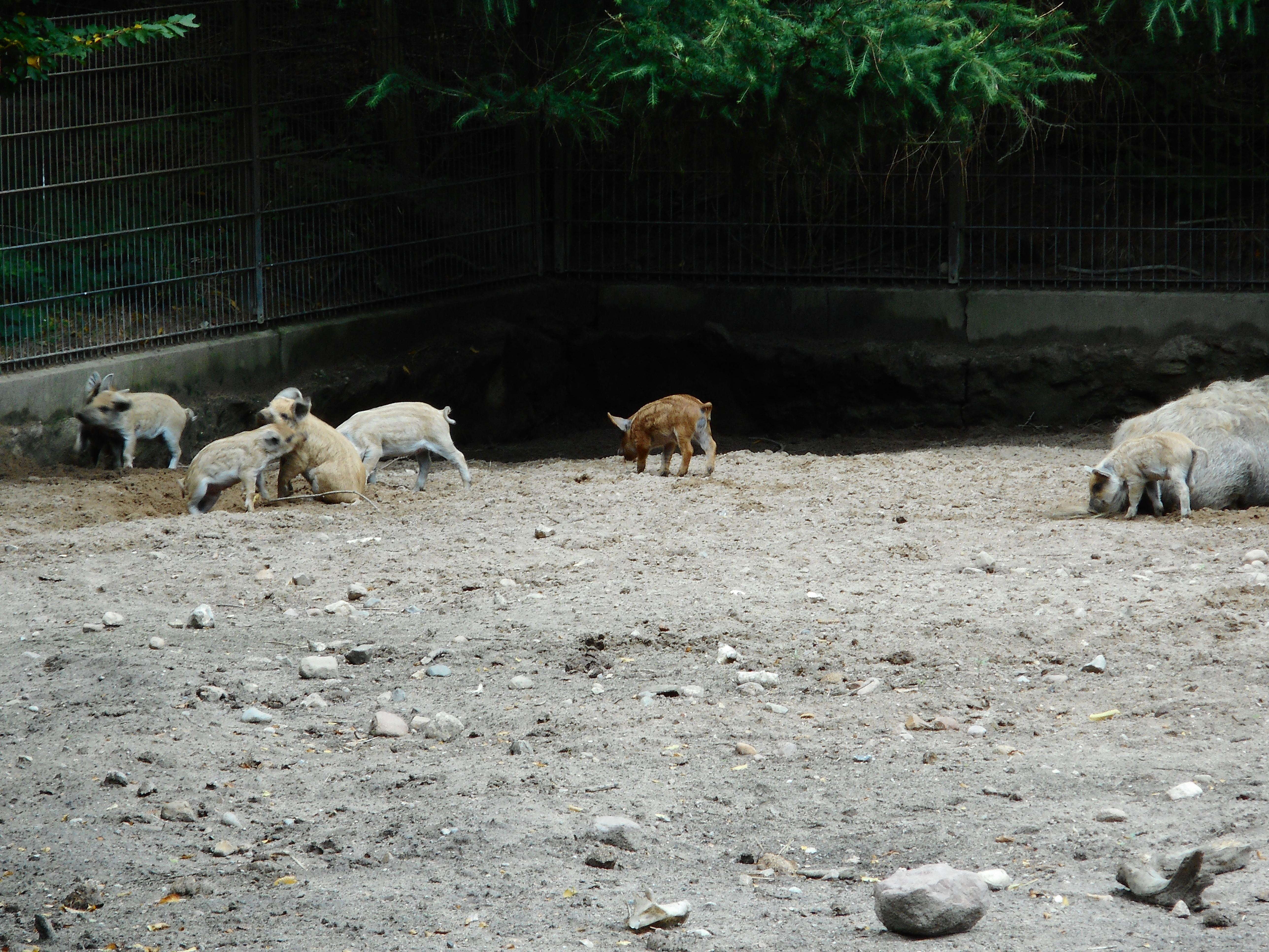 DSCN0296.JPG