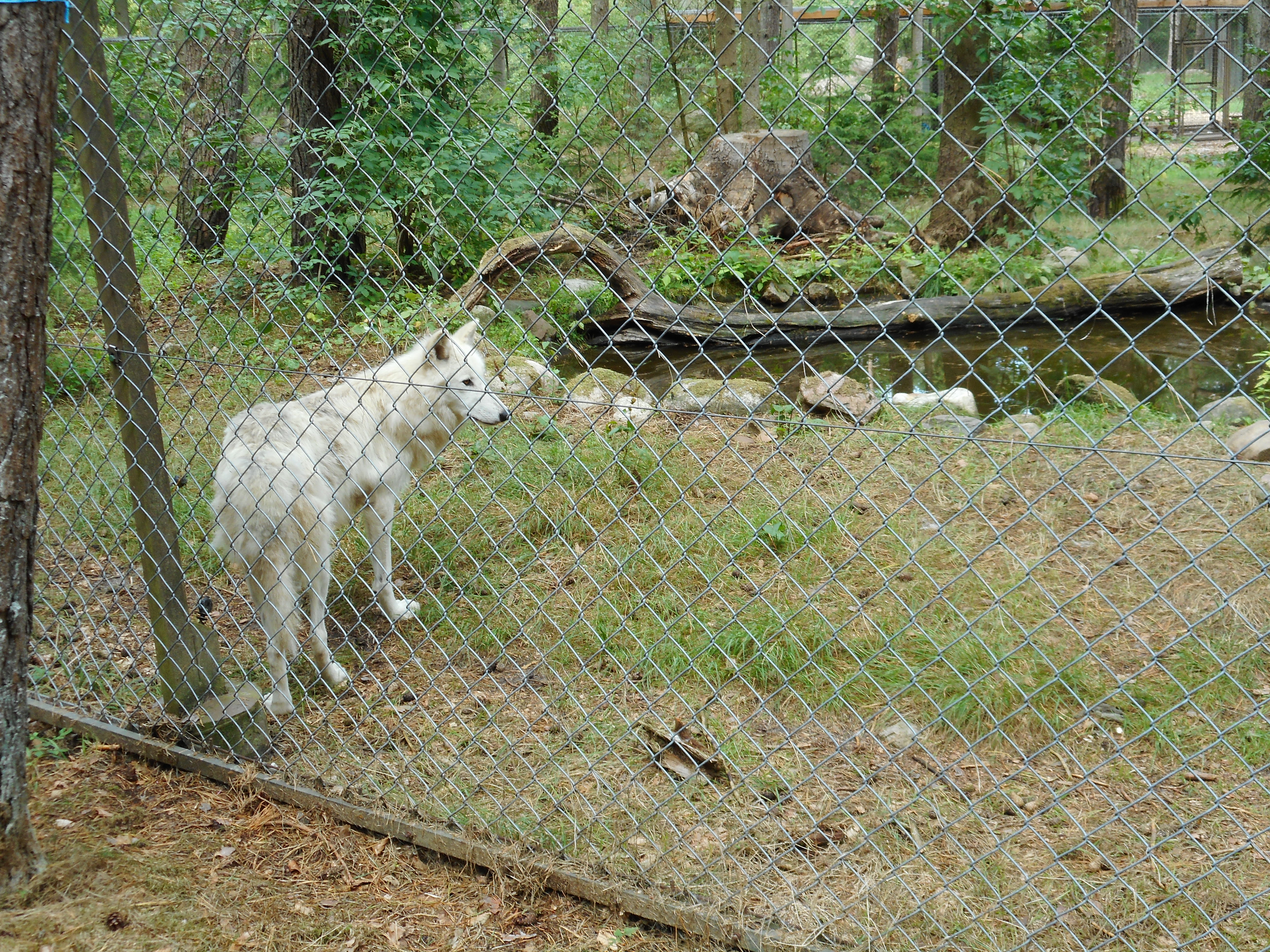 DSCN0312.JPG