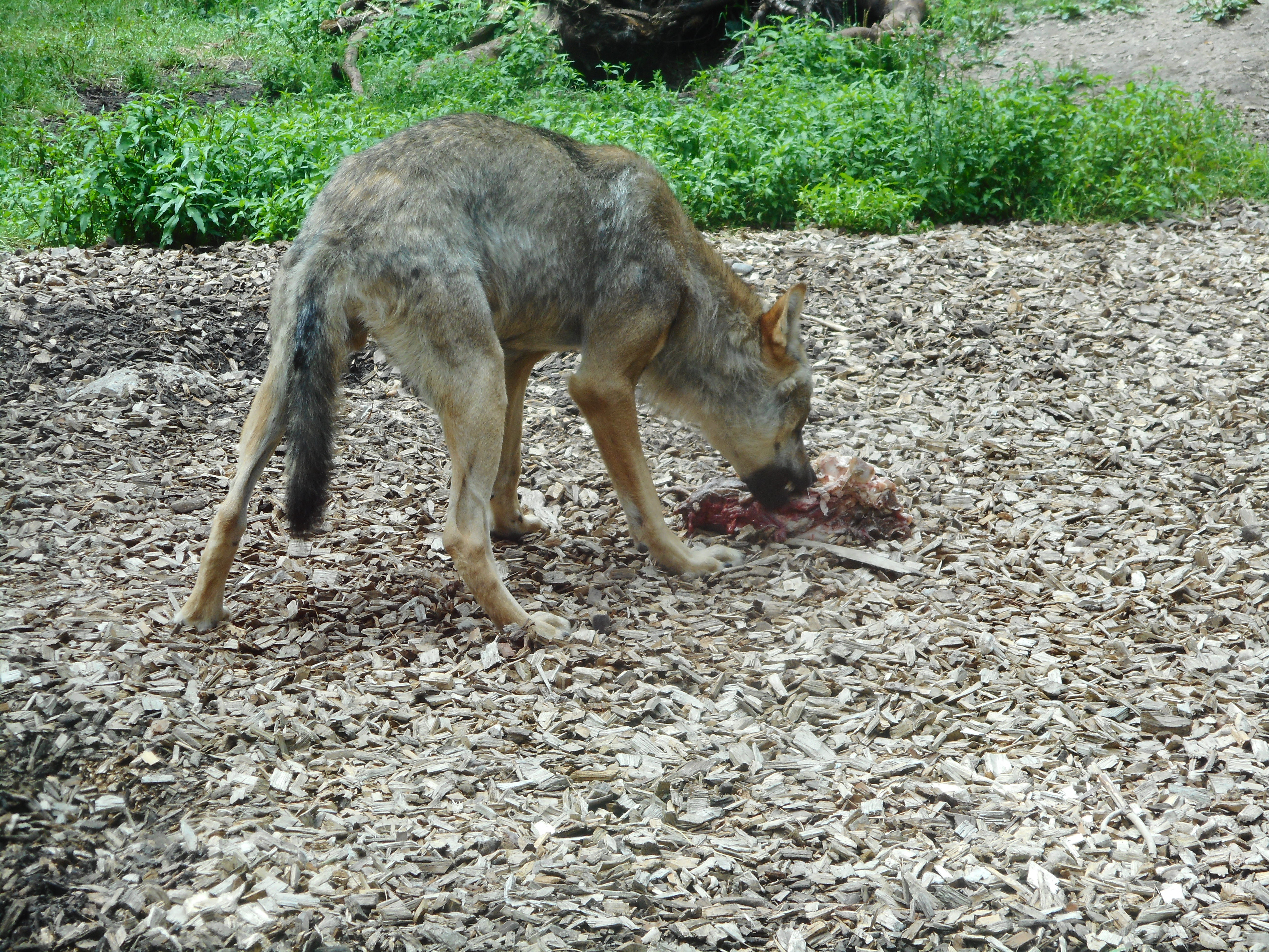 DSCN0314.JPG