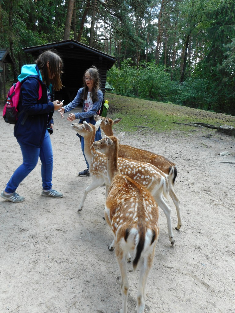 DSCN0371.jpg