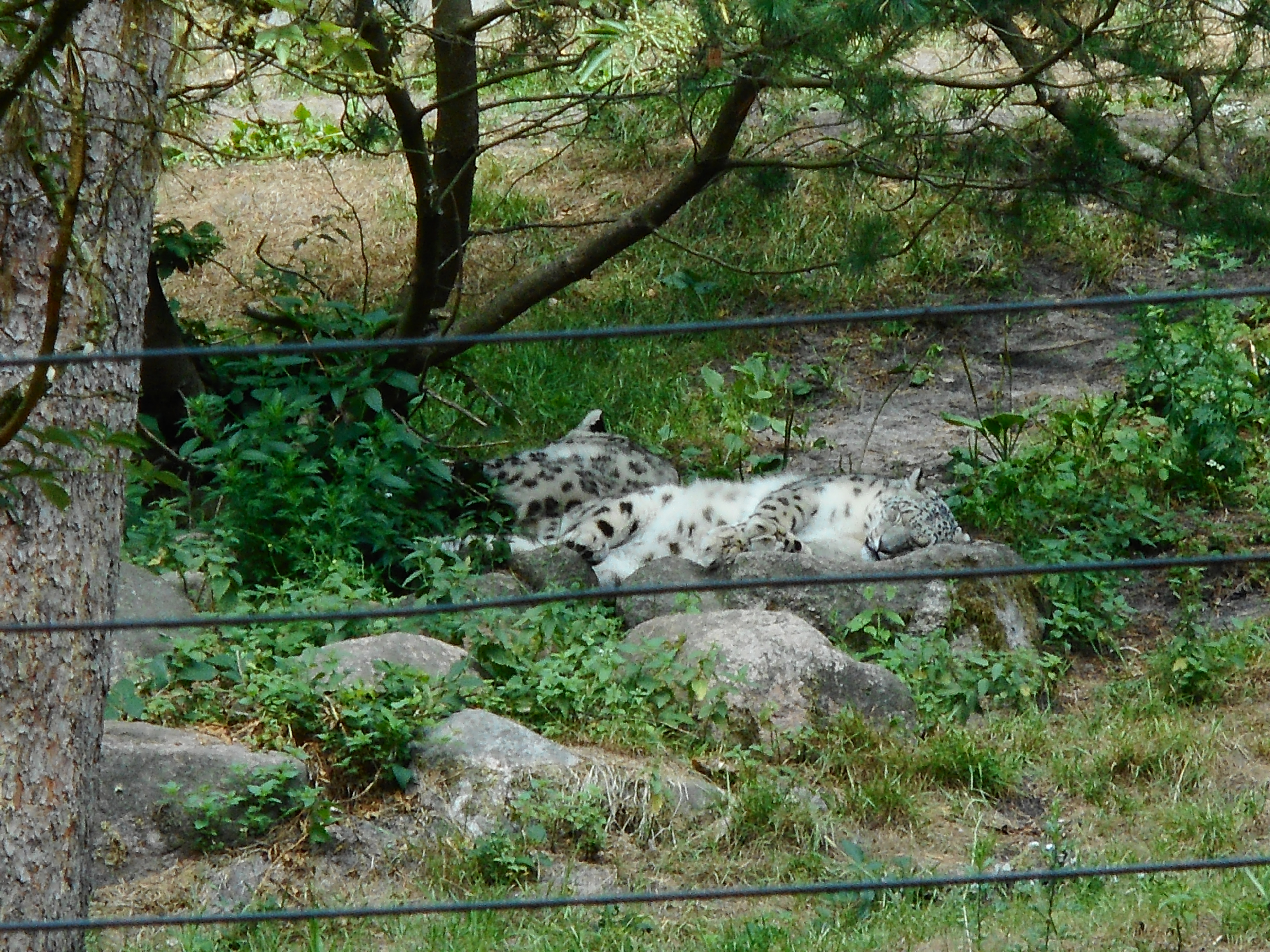 DSCN0398.JPG