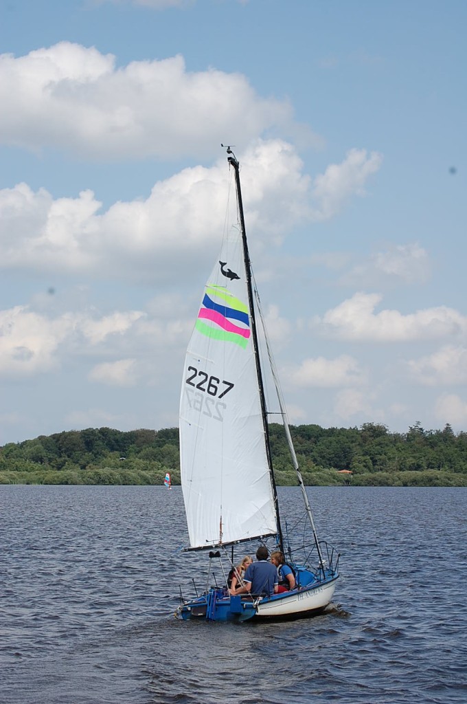 DSC_0810.jpg