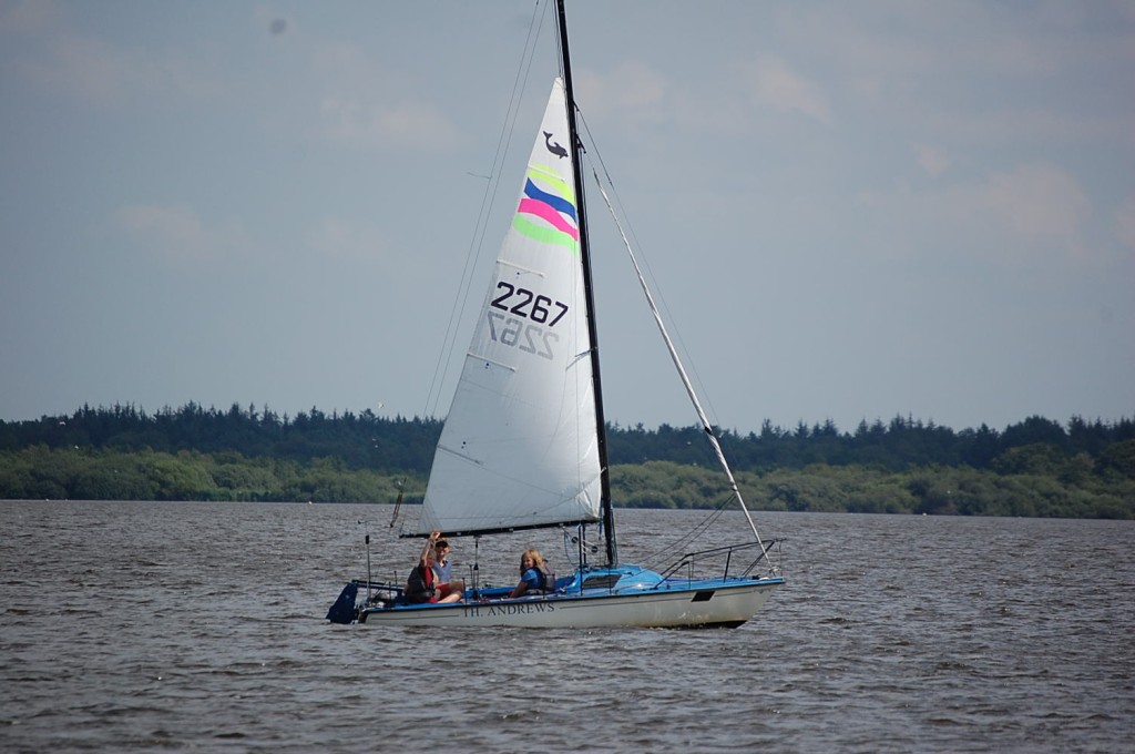 DSC_0816.jpg