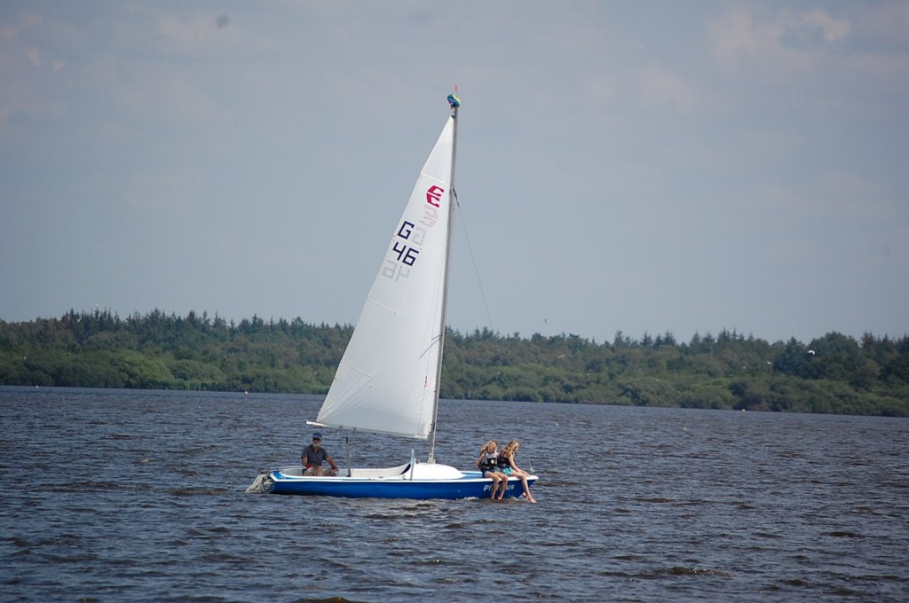 DSC_0919.jpg