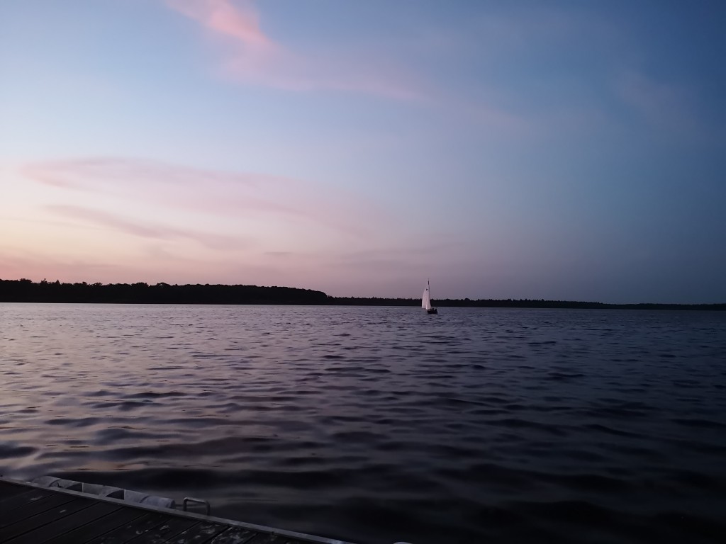 IMG_20190725_221425.jpg