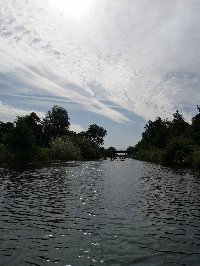 IMG_20190726_102949.jpg