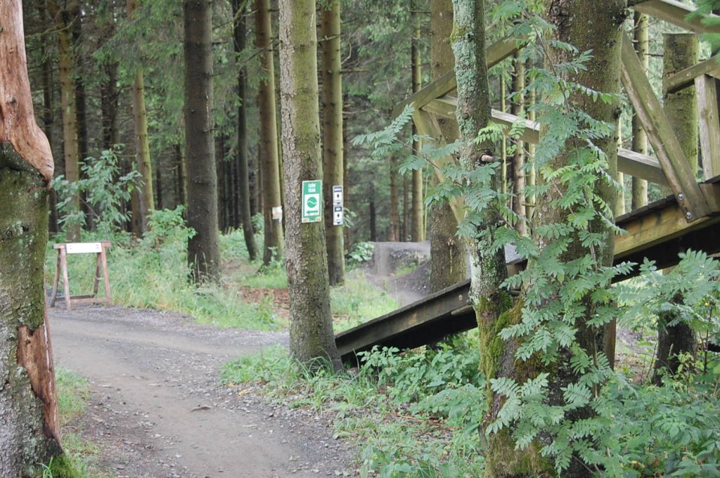 DSC_0060.jpg