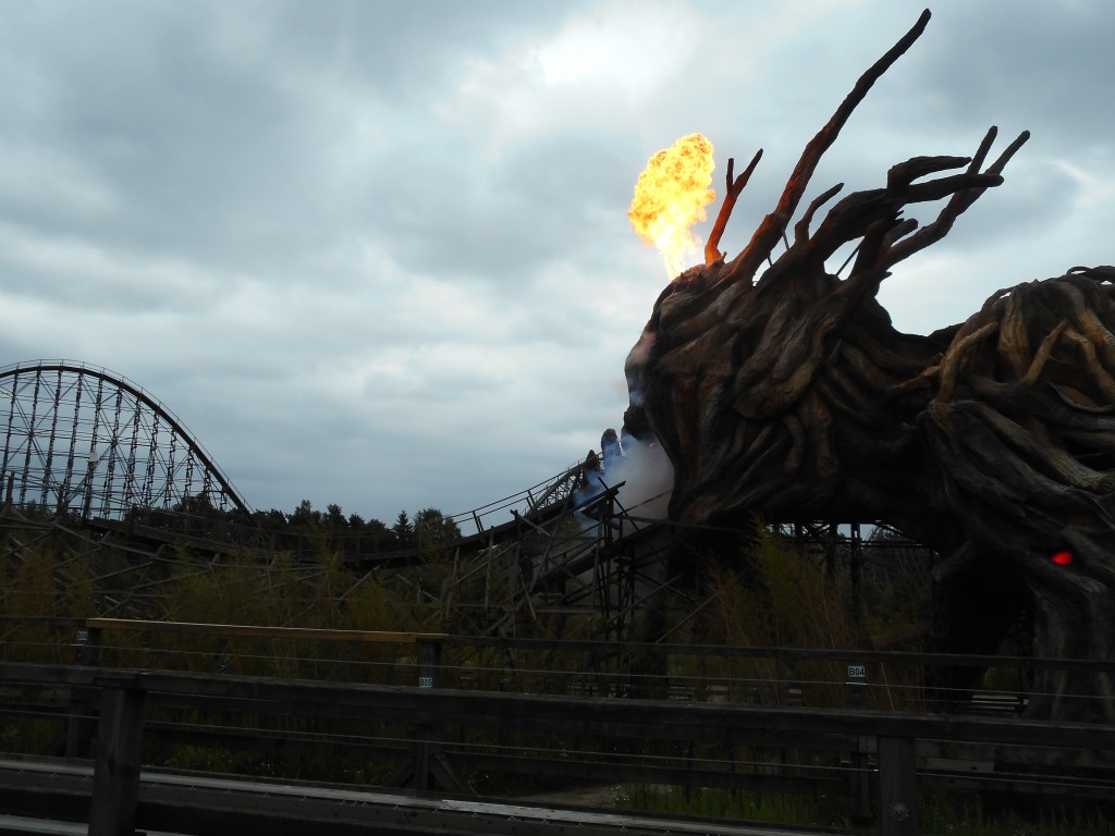 DSCN1188.jpg