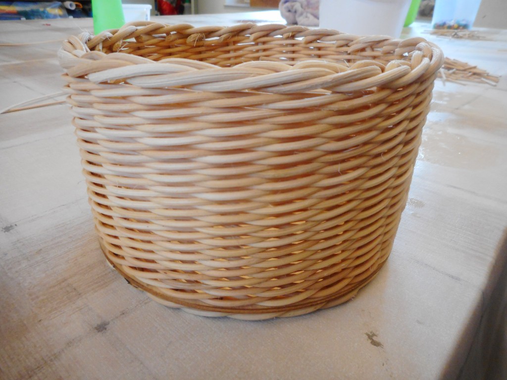 DSCN1444.jpg