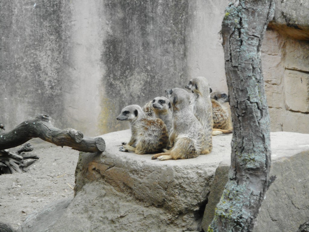 DSCN1360.jpg