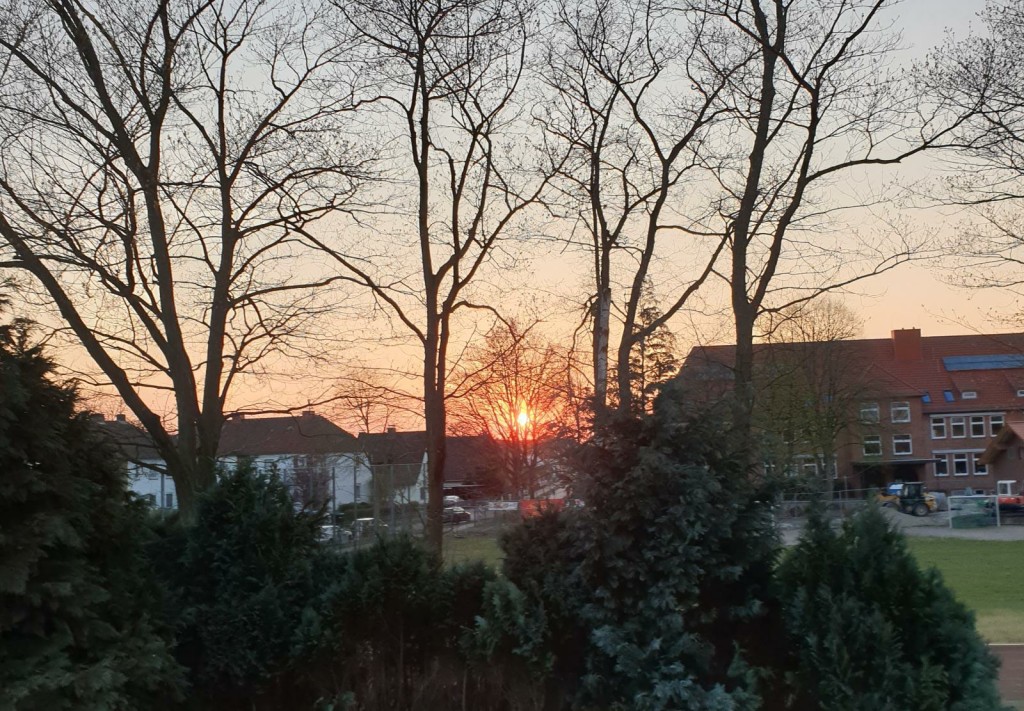 1   IMG-20200825-WA0001  aron umwelt.jpg