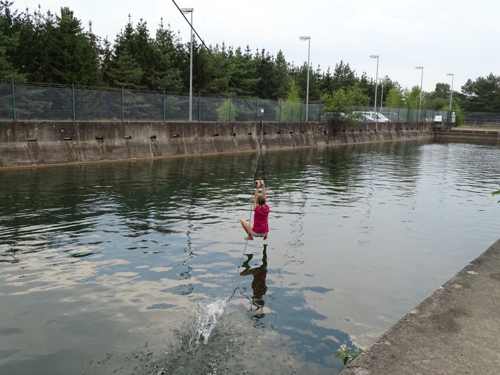 DSC01017.jpg